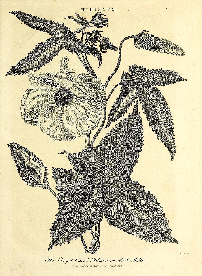 n1134_w1150