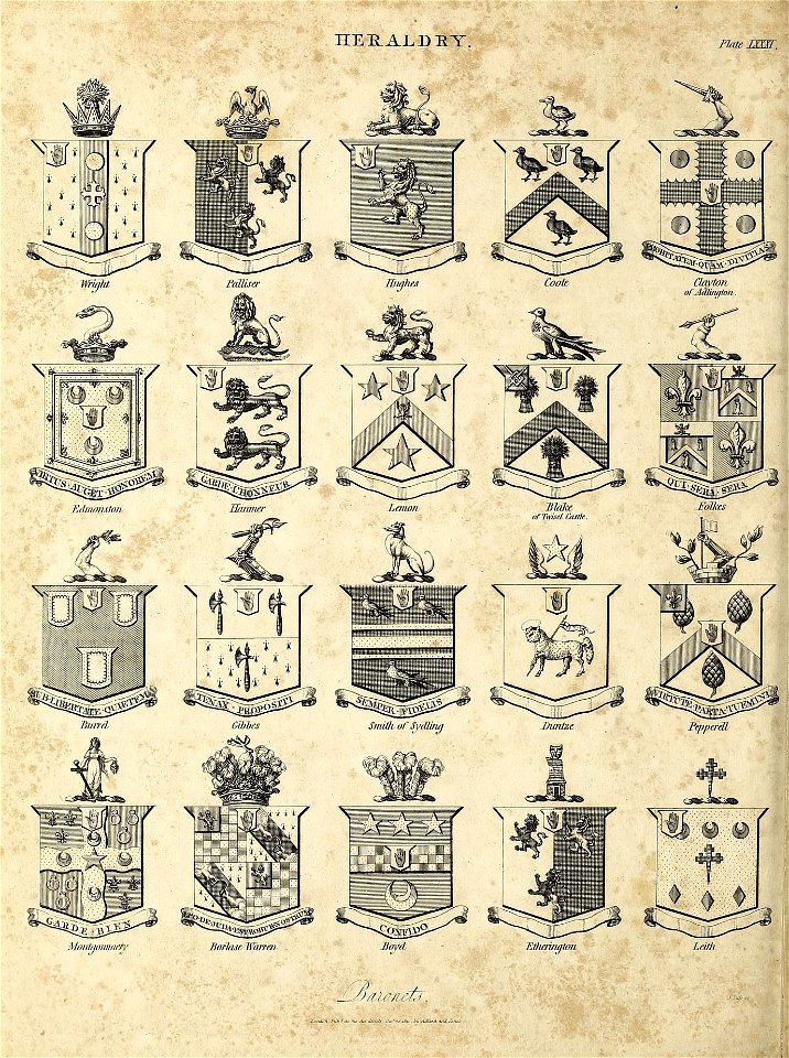 n949_w1150