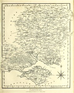 n238_w1150