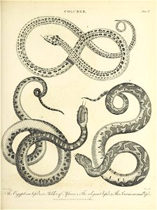 n916_w1150