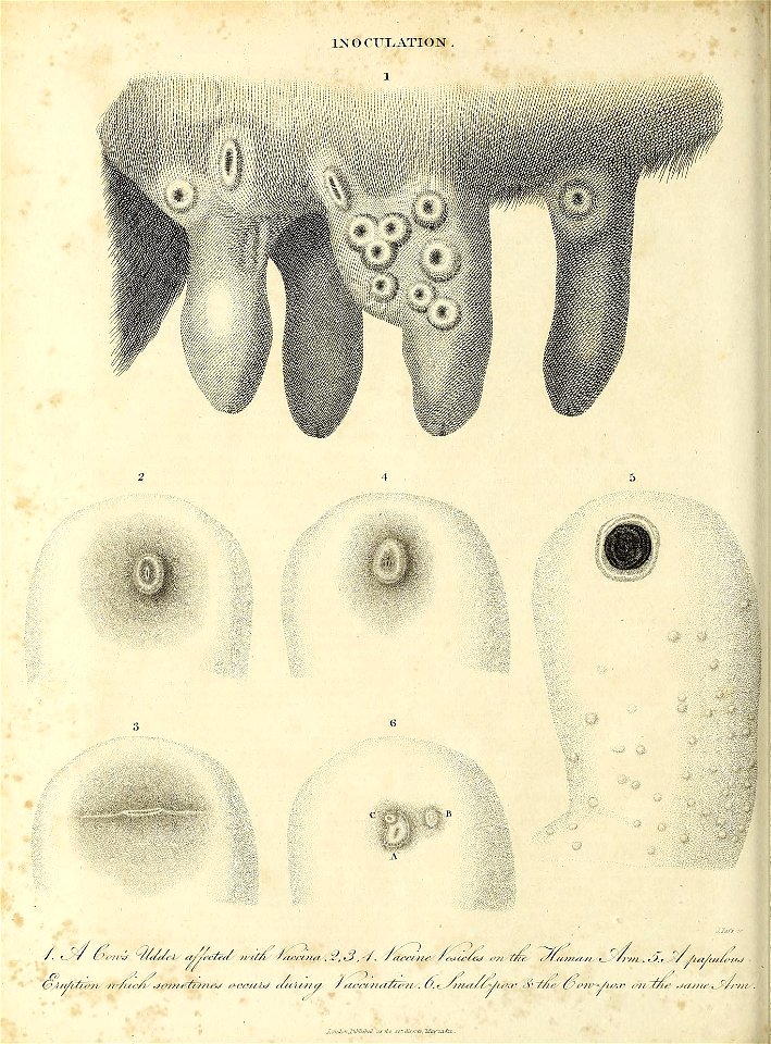 n117_w1150