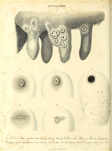 n117_w1150