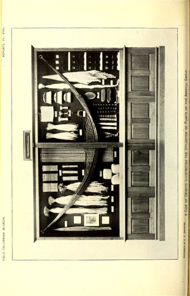 n143_w1150