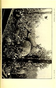 n234_w1150