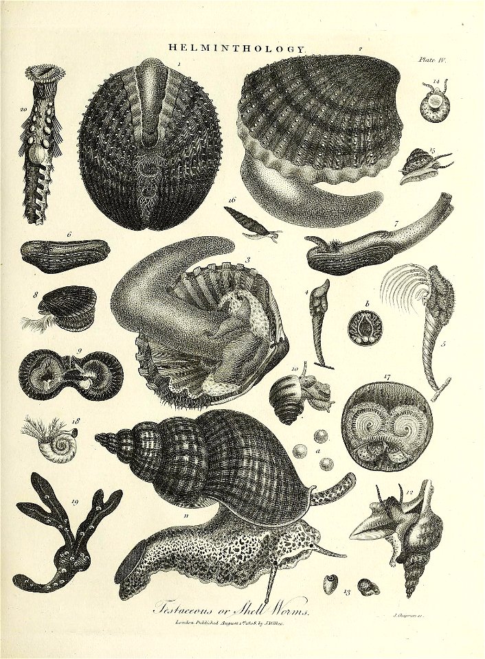 n402_w1150