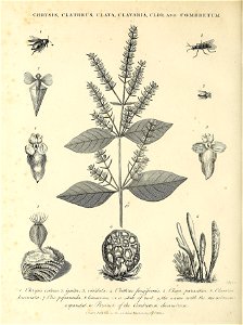 n639_w1150