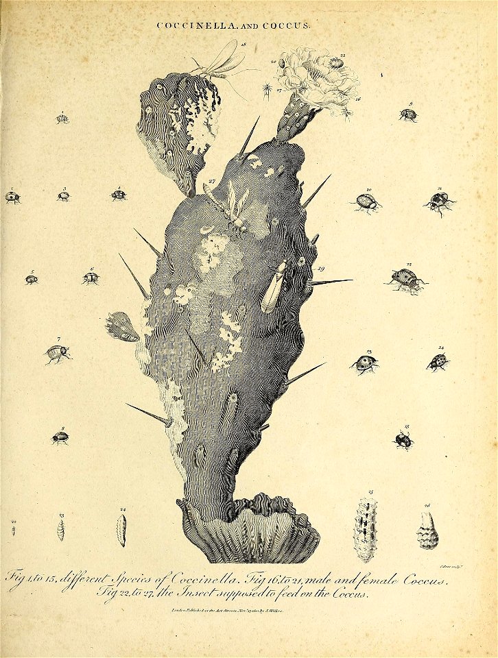 n820_w1150