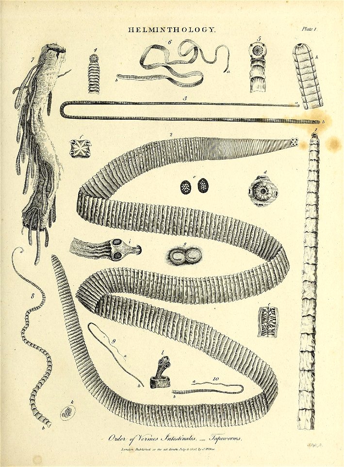 n388_w1150