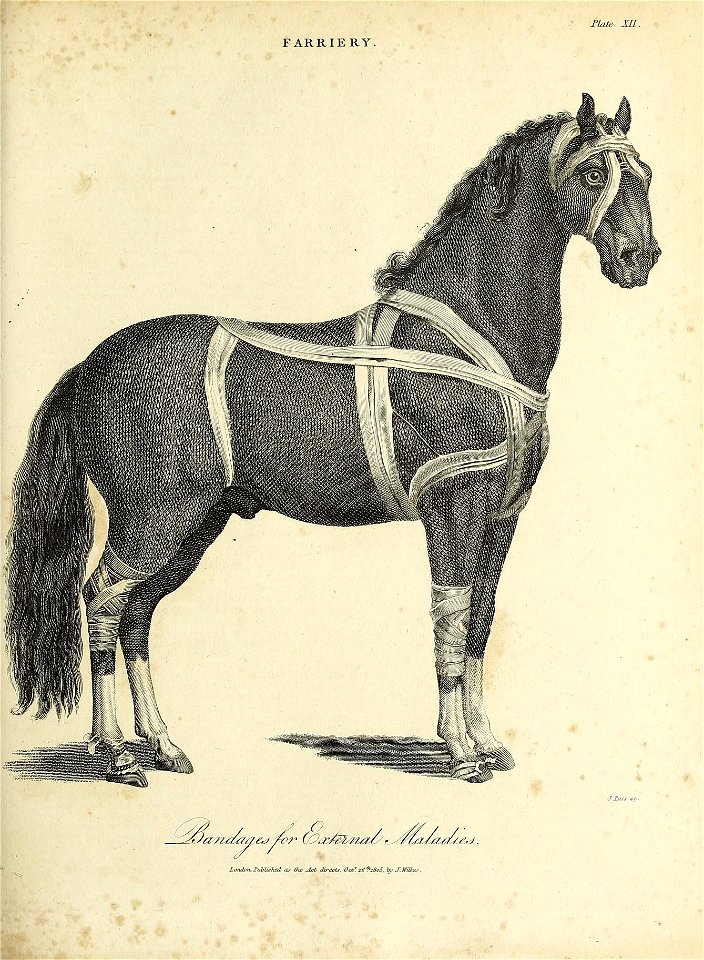 n328_w1150