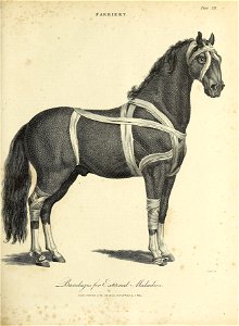 n328_w1150