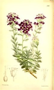 n159_w1150