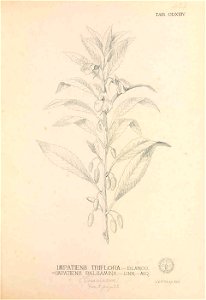 n398_w1150