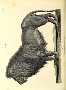 n365_w1150