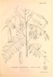 n454_w1150