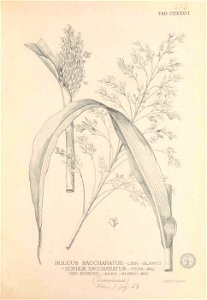 n422_w1150