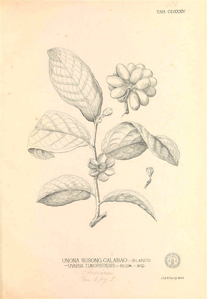 n418_w1150