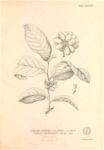 n418_w1150
