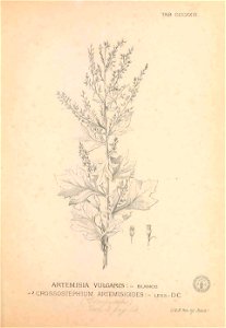 n208_w1150