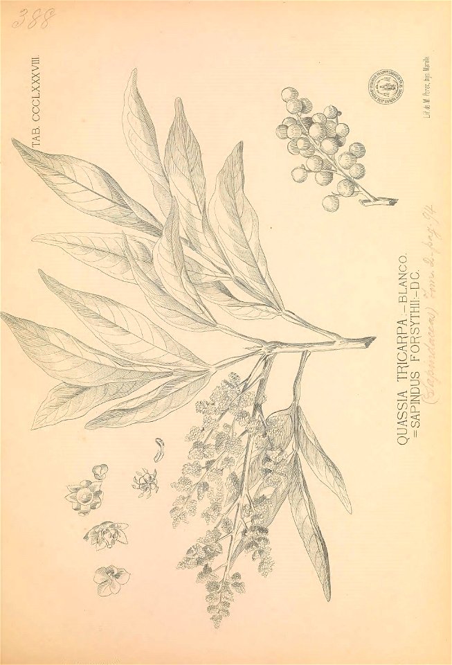 n326_w1150