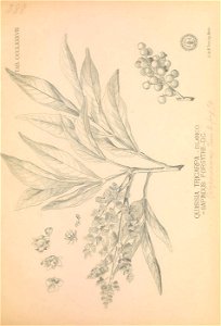 n326_w1150