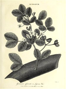 n86_w1150