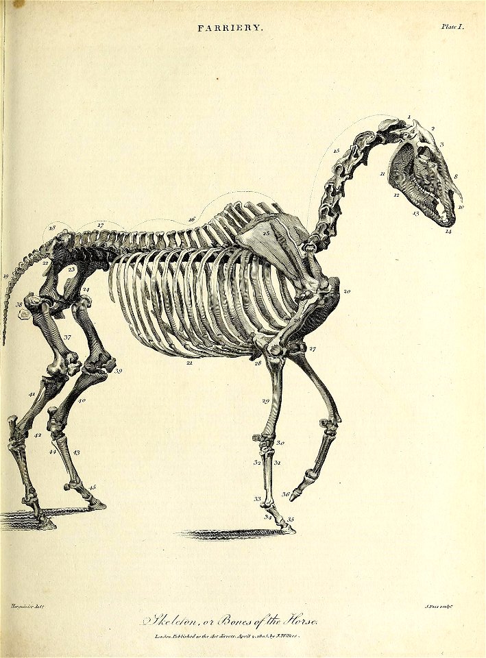 n274_w1150