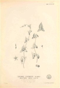 n280_w1150