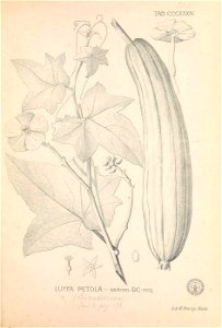 n218_w1150