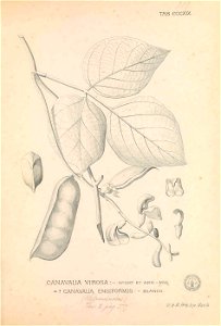 n188_w1150