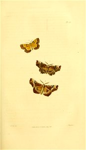 n182_w1150