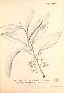n396_w1150