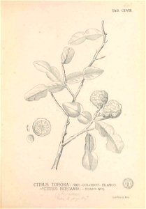 n366_w1150