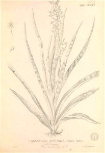 n394_w1150