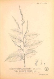 n304_w1150