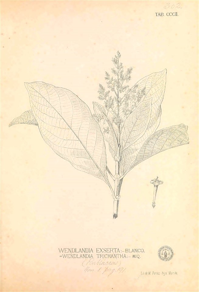 n154_w1150