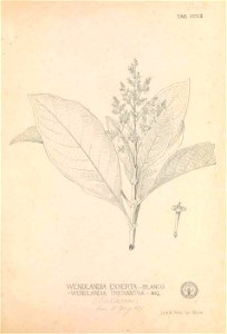 n154_w1150