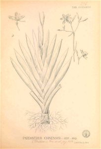 n302_w1150