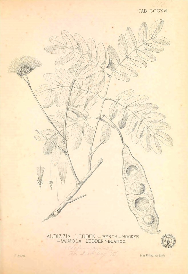 n182_w1150