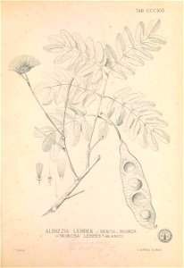 n182_w1150