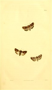 n16_w1150