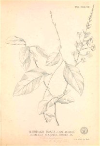n146_w1150