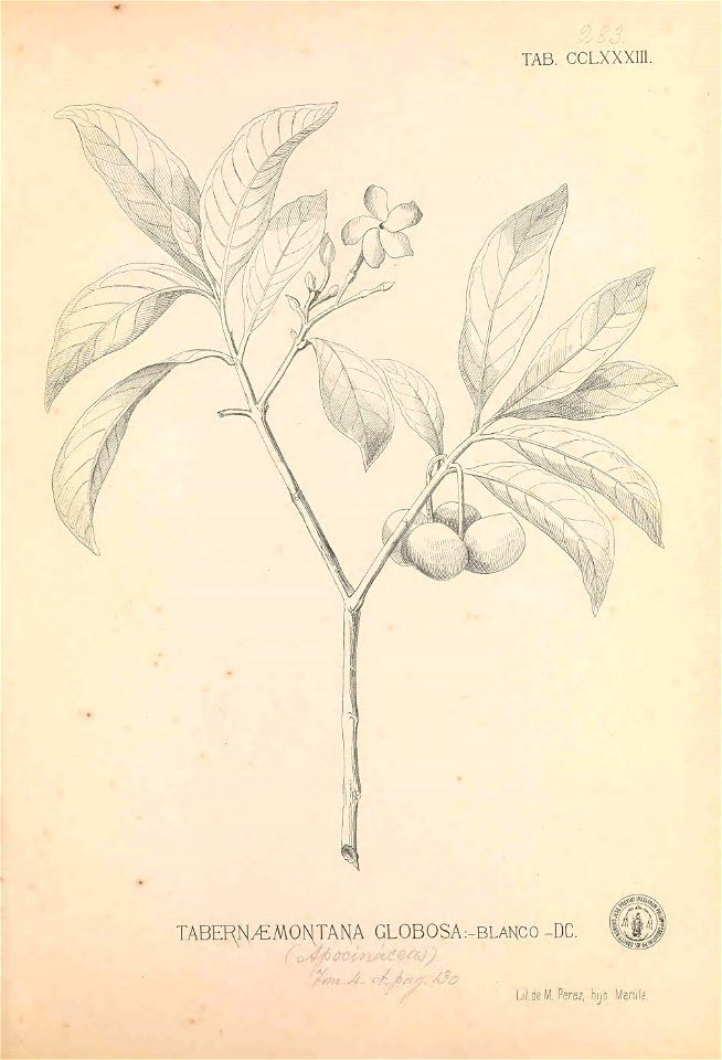 n116_w1150