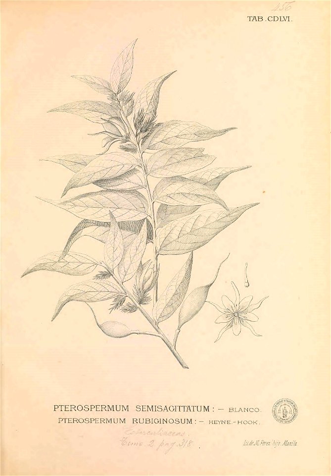 n462_w1150