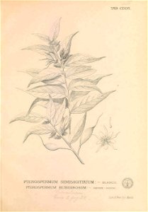 n462_w1150