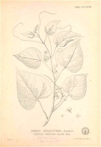 n186_w1150