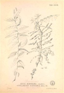 n156_w1150