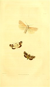 n82_w1150