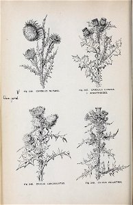 n191_w1150