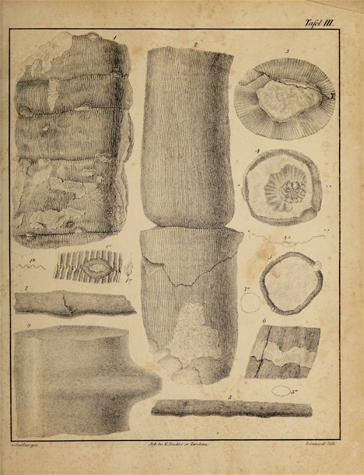 n16_w1150