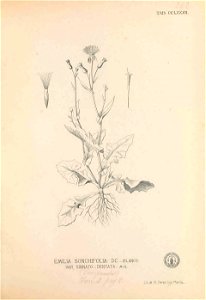 n114_w1150